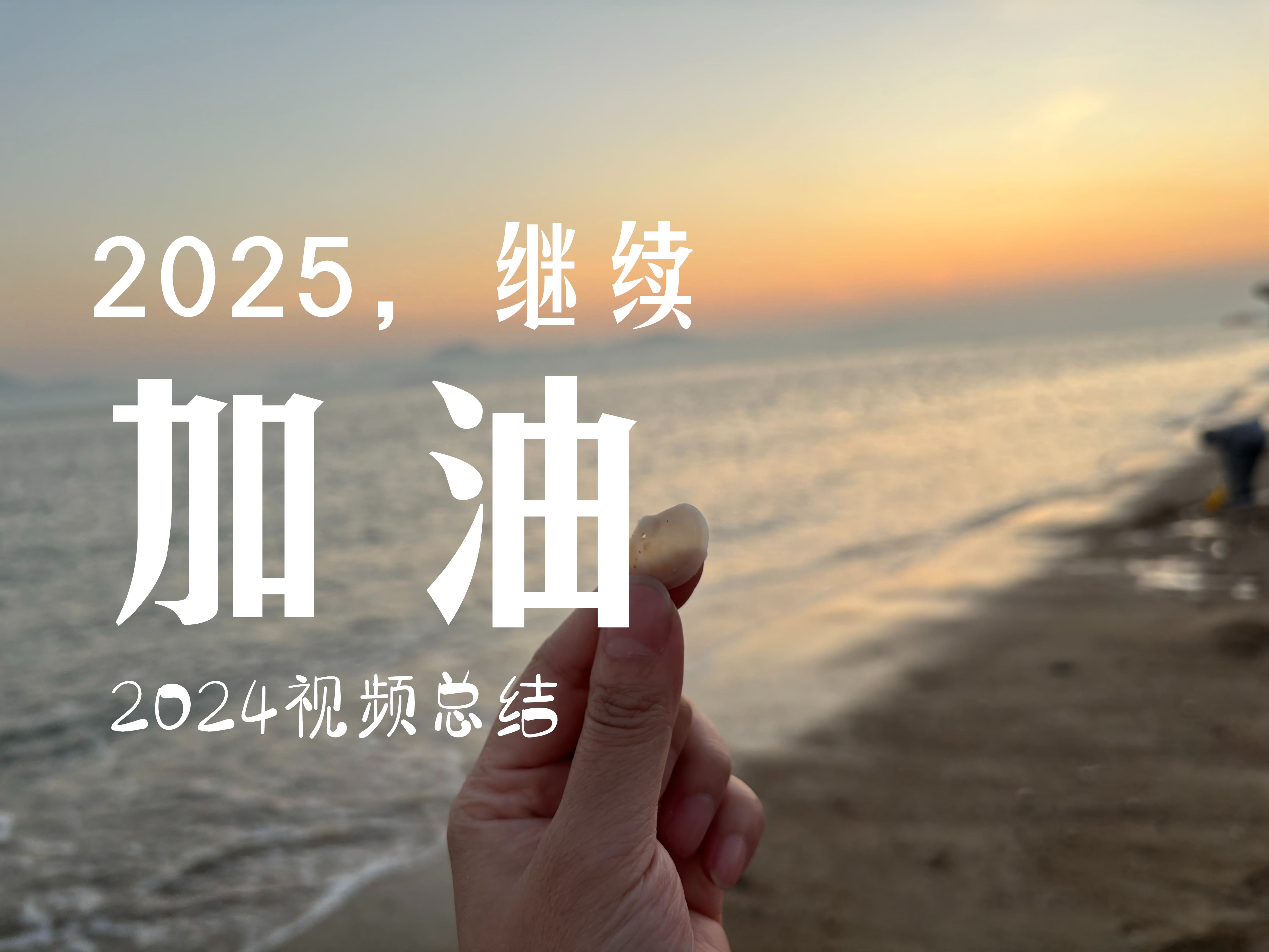 2024年度总结,2025加油