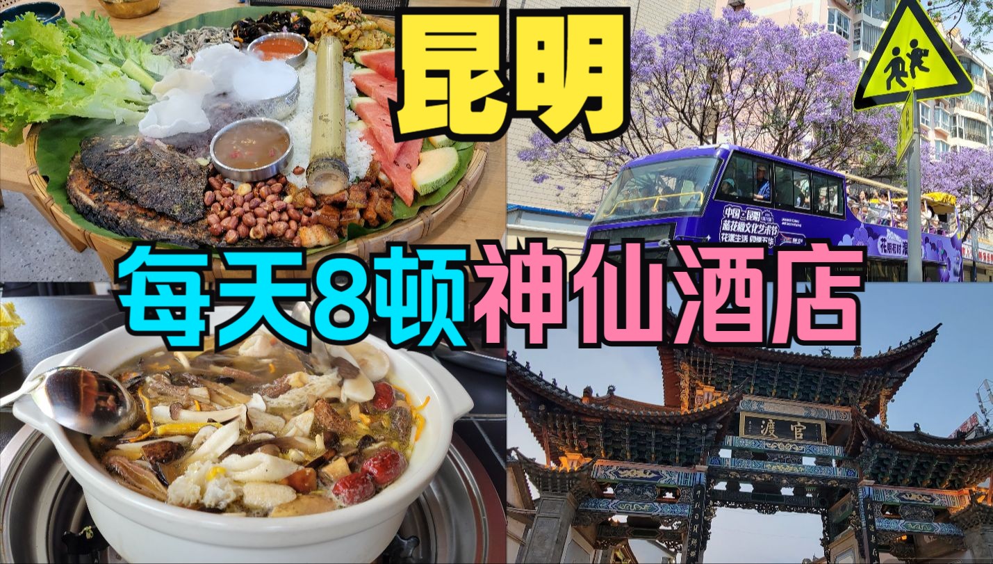 昆明旅游vlog|时隔2年的治愈之旅,美食爱好者的天堂,酒店就是目的地,独栋酒店,自然与古典的结合哔哩哔哩bilibili