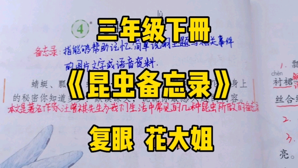 三年级语文下册:《昆虫备忘录》之复眼与花大姐,了解什么是备忘录?发现昆虫身上的秘密!哔哩哔哩bilibili