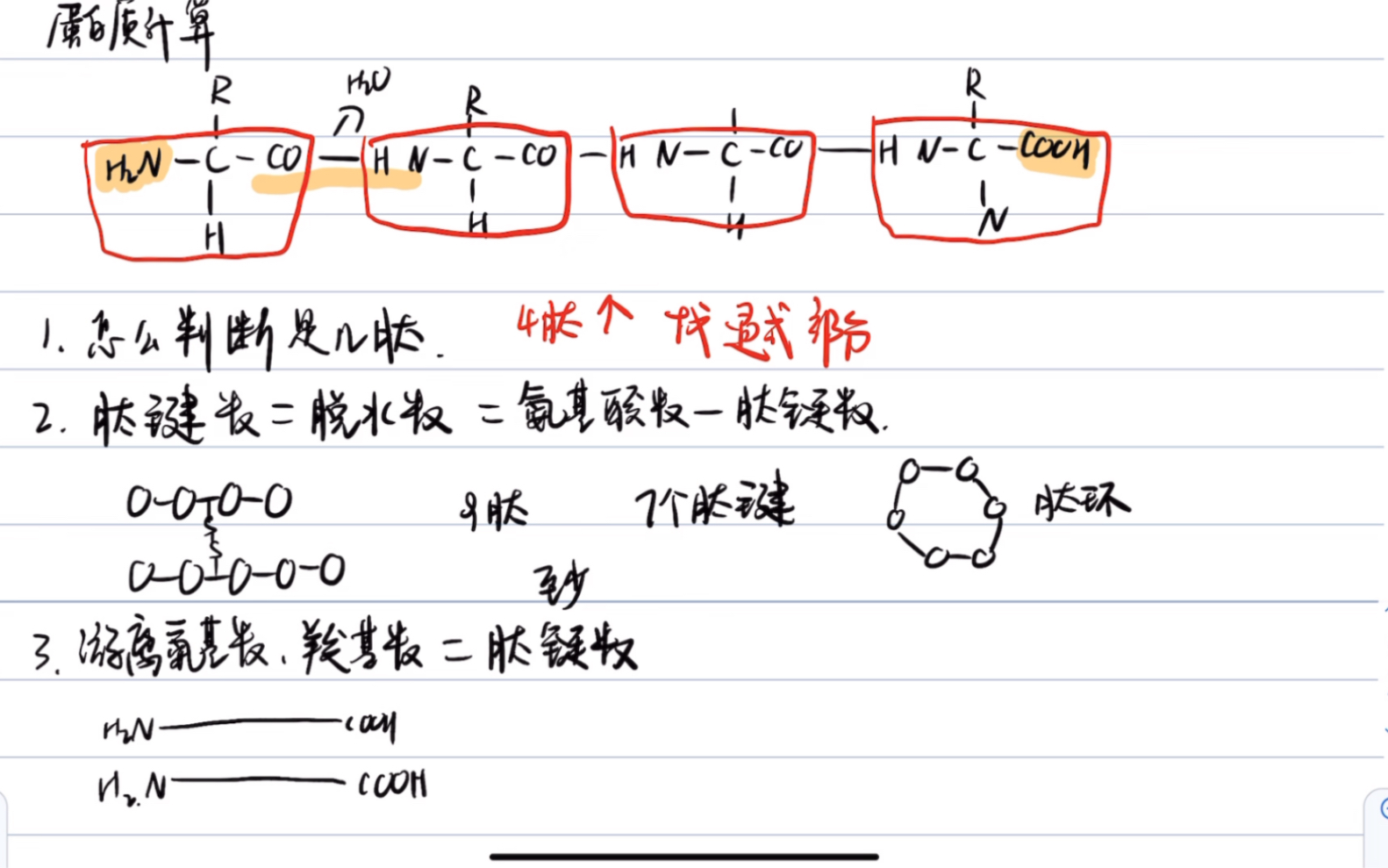 【高中生物】蛋白质计算你会不?哔哩哔哩bilibili