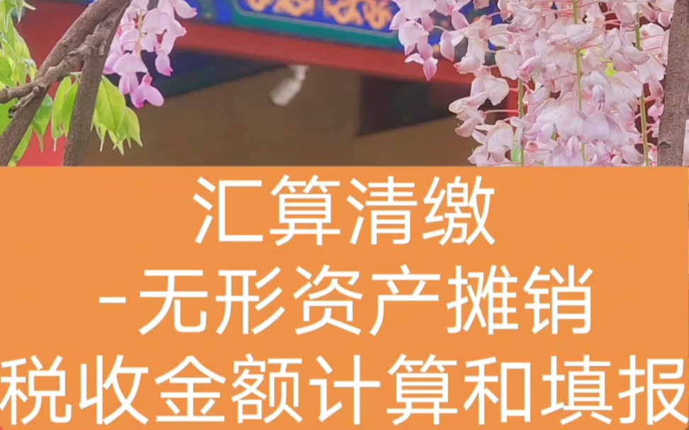 汇算清缴无形资产摊销(企业所得税)税收金额计算和填报哔哩哔哩bilibili