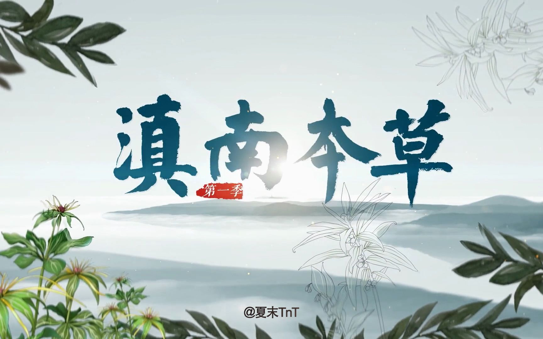 中草药纪录片《滇南本草》全5集 1080P高码(2021)哔哩哔哩bilibili