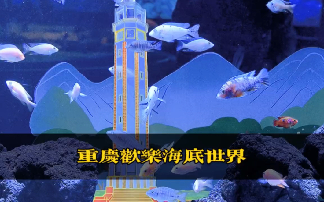 重庆欢乐海底世界