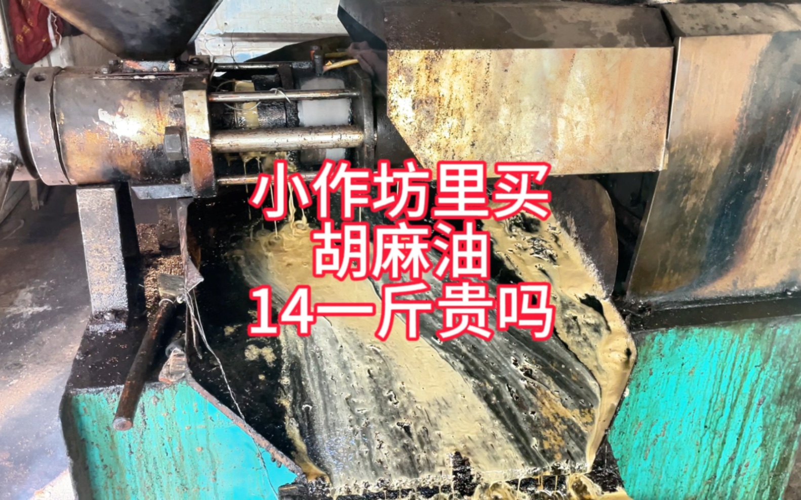 纯天然无污染的胡麻油14一斤,贵吗