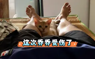 Скачать видео: 大古和他的猫｜乔乔眼睛受伤了，上次是熹熹！今天吃家常豆腐