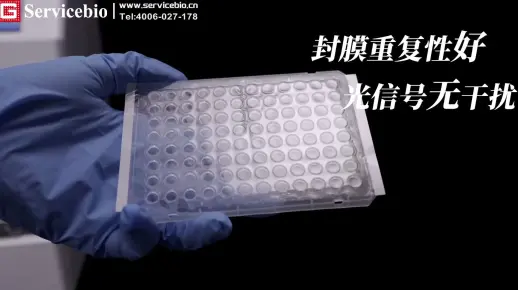 Servicebio智能型封膜仪 重复性好，不漏液！