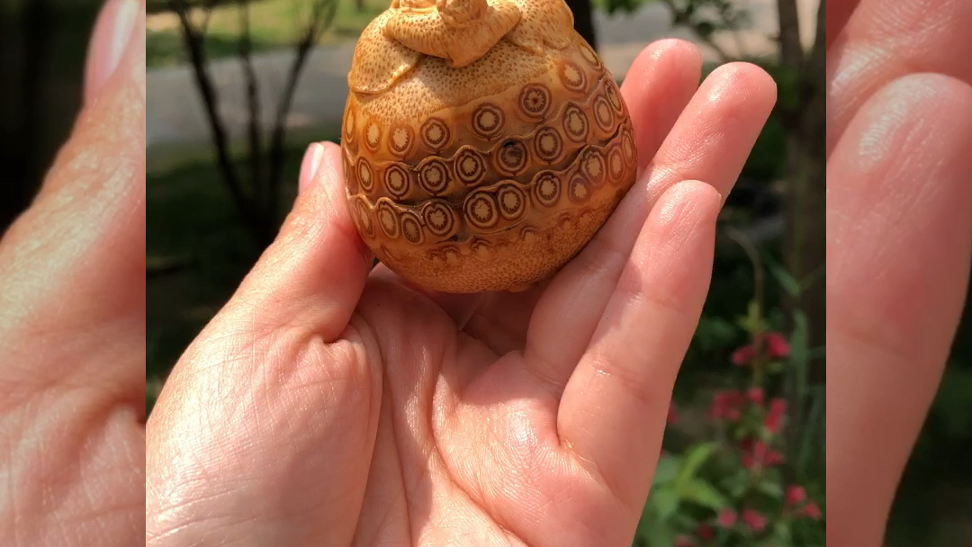 活动  山竹,与众不同,又趣味十足.