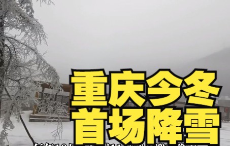 重庆今冬第一场雪来了!最低气温降至零下2℃哔哩哔哩bilibili