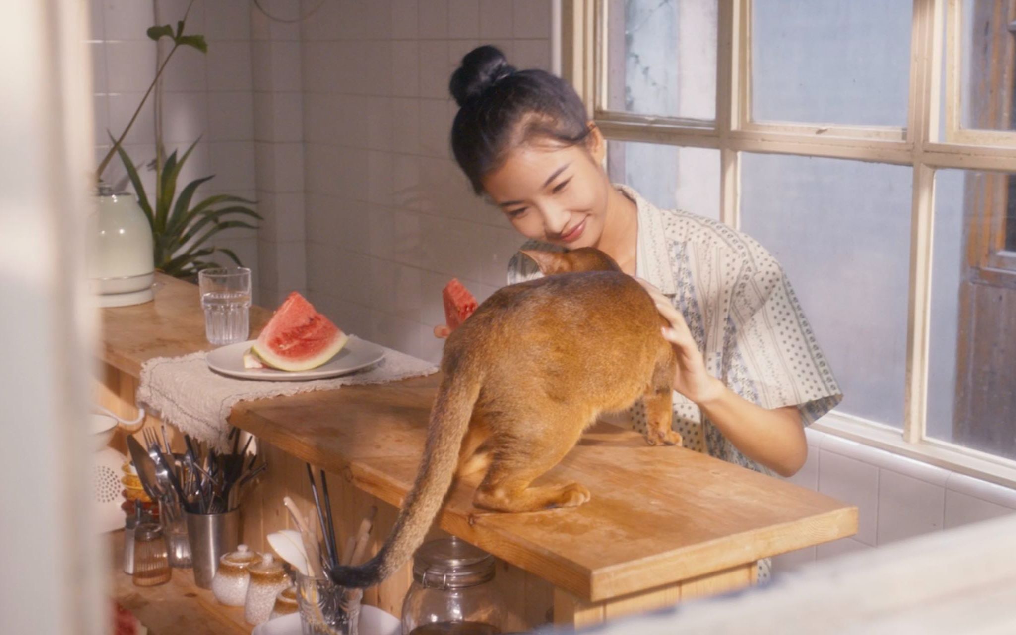 未卡×储镒恬|西瓜分你一瓣