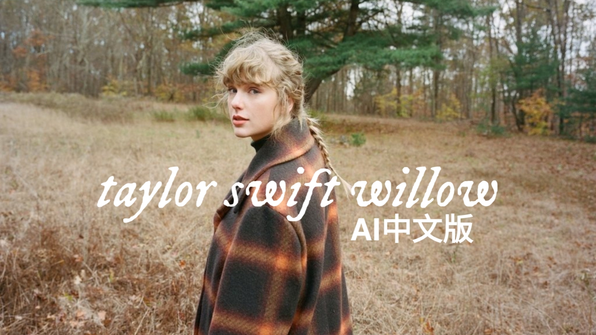 Taylor Swift《willow》AI中文版哔哩哔哩bilibili