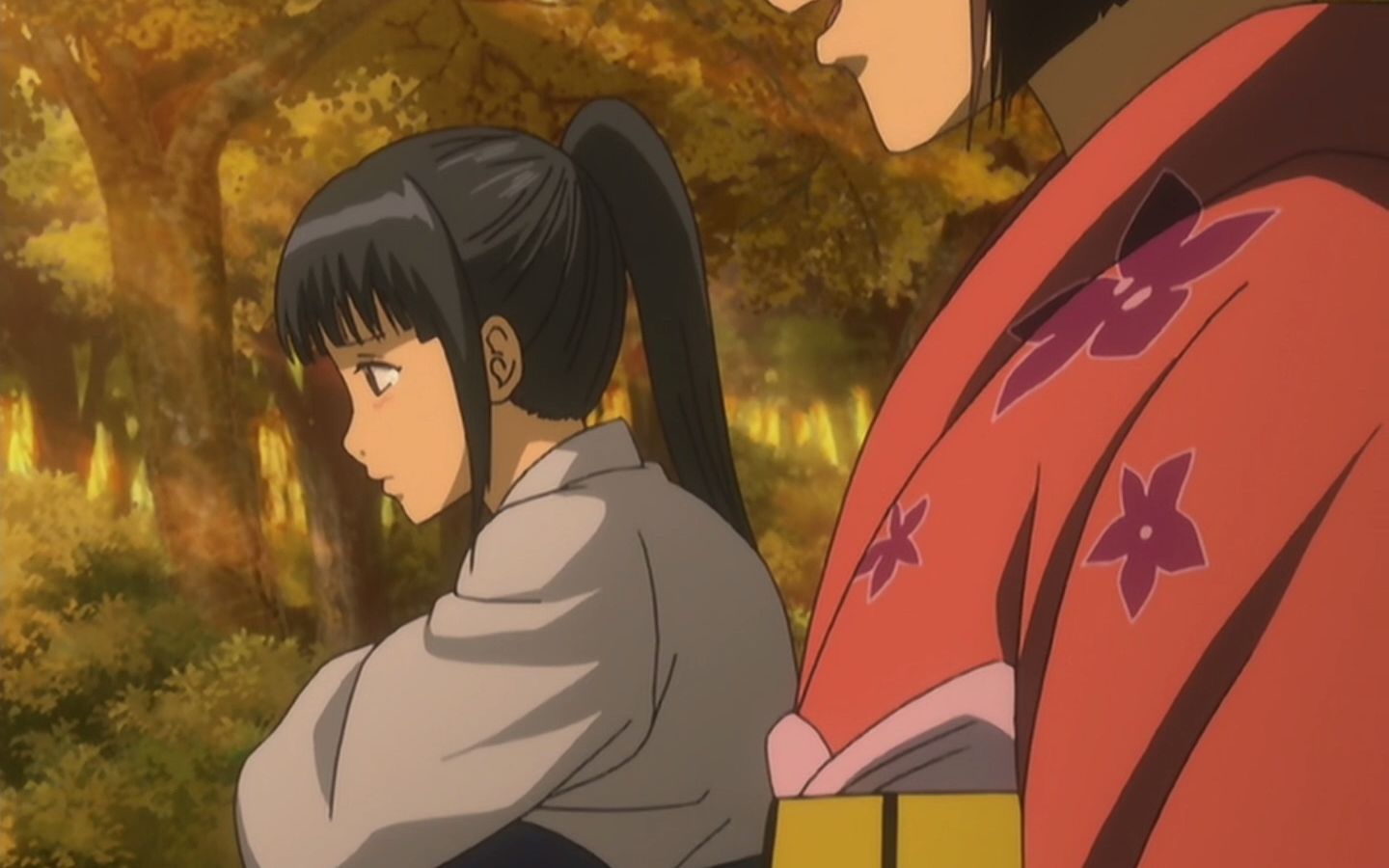 银魂17 柳生篇1 和猩猩公主相亲时 憋不住了怎么办