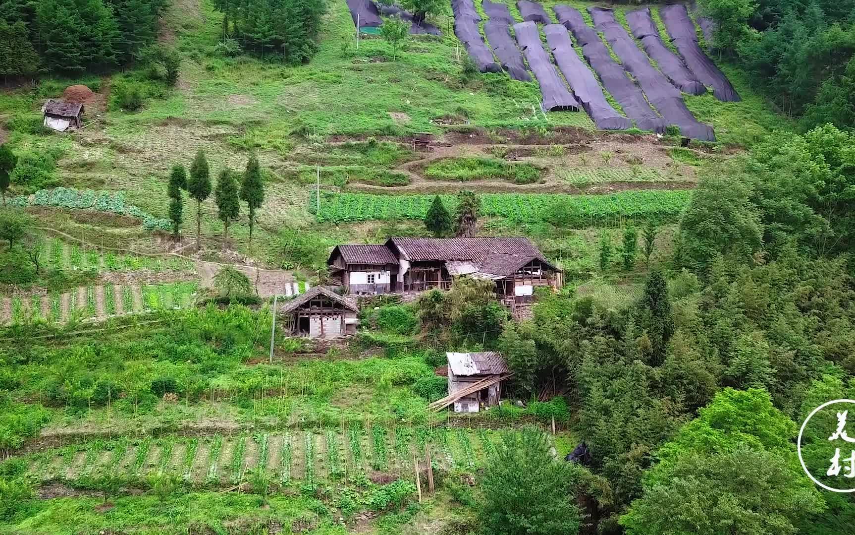 你别不信,这才是四川大山里的真实农村,高清航拍给你看