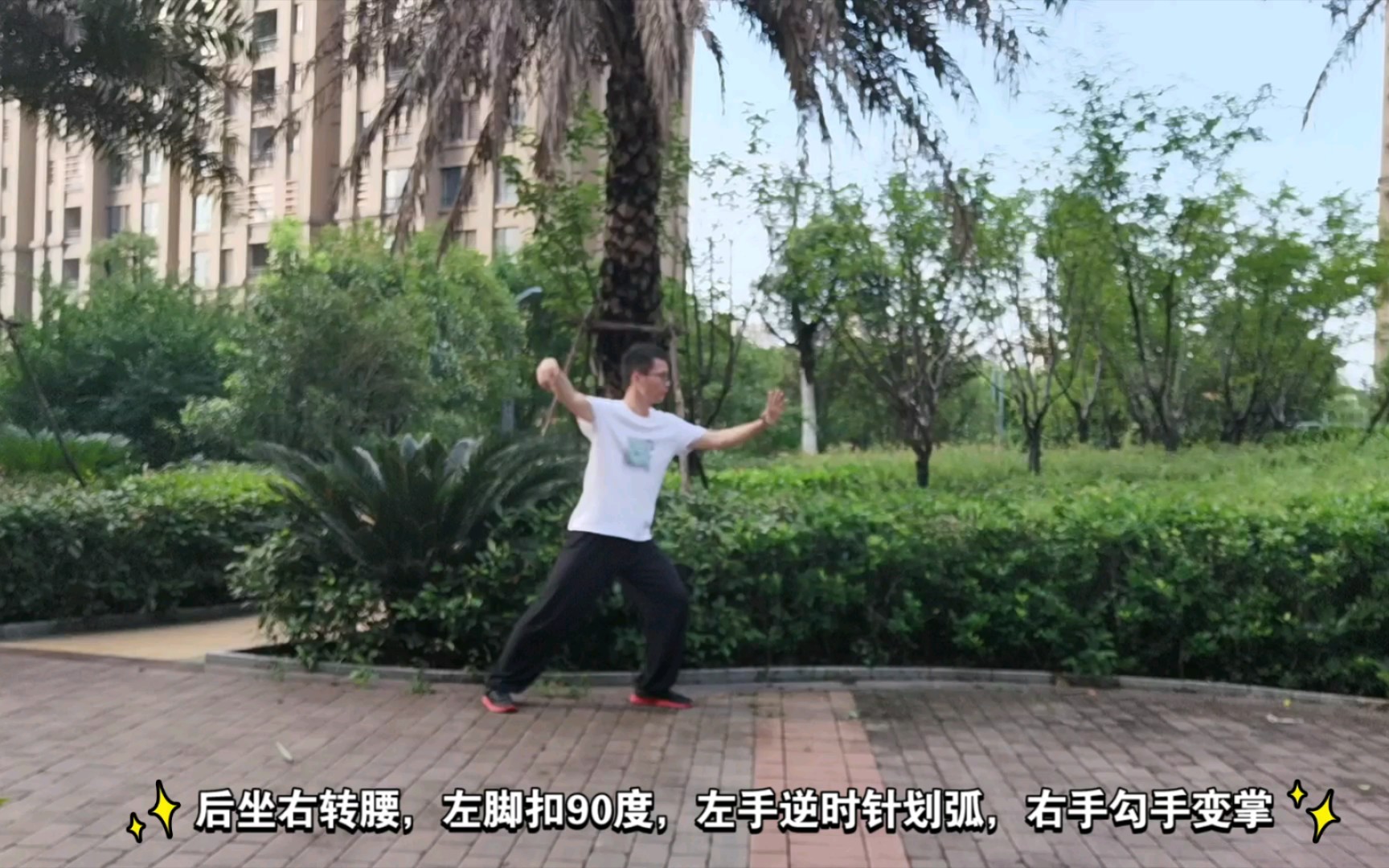 24式简化太极拳教学之第91011和12式单鞭云手单鞭和高探马