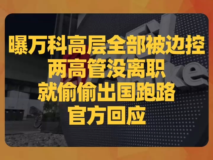 曝万科高层全部被边控、两高管没离职就偷偷出国跑路,官方回应哔哩哔哩bilibili