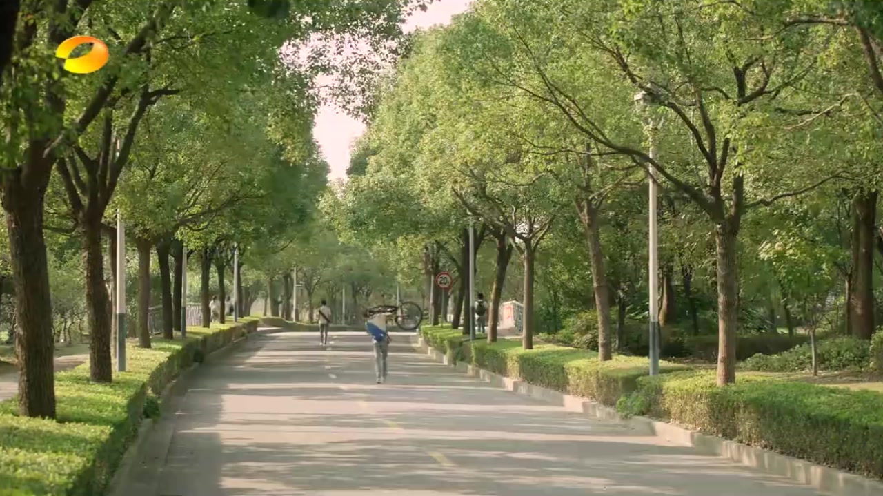 凯源夏至未至