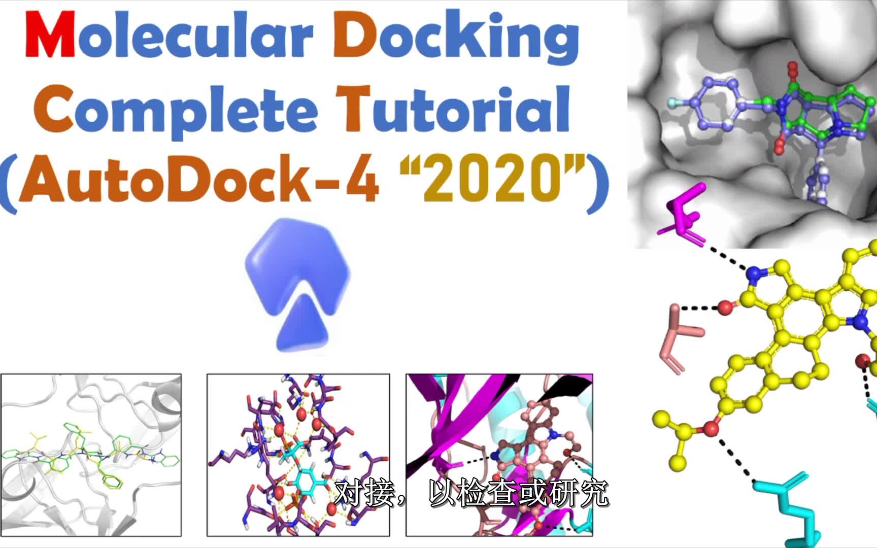 分子对接软件之AutoDock的使用简介哔哩哔哩bilibili