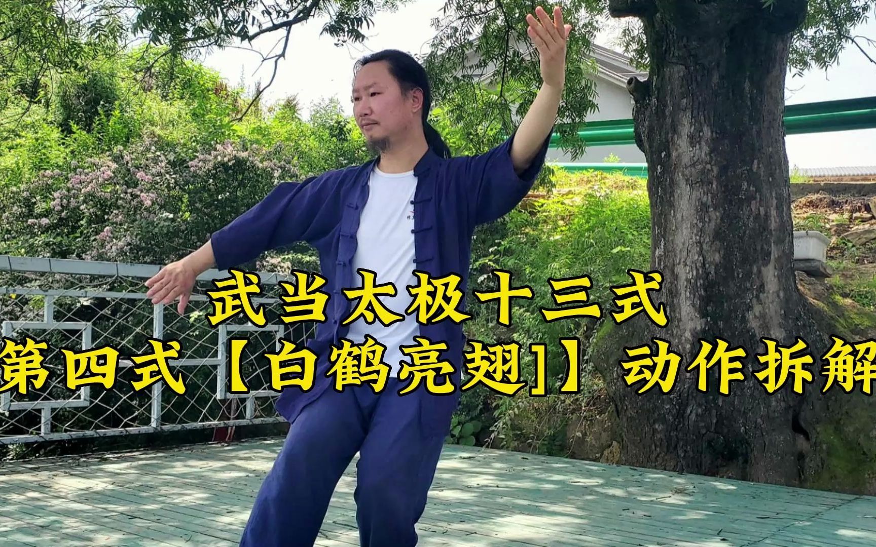 武当太极十三式——第四式【白鹤亮翅】慢动作教学,讲解详细,一学就会