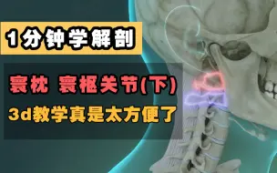 Descargar video: 【1分钟学解剖】寰枕关节和寰枢关节（下）每日一学，每日一题