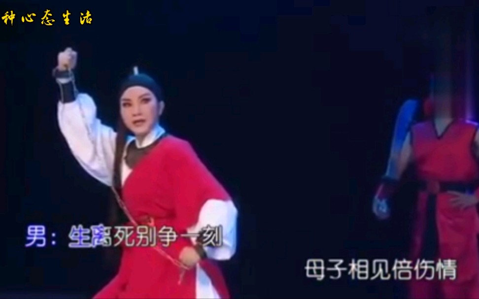 [图]潮剧《秦英征西》唱段-亲奉甘旨待来生，林碧芳，刘小丽主演