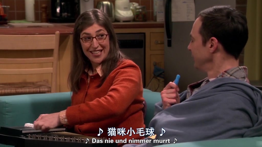 生活大爆炸各种语言版本的softkitty