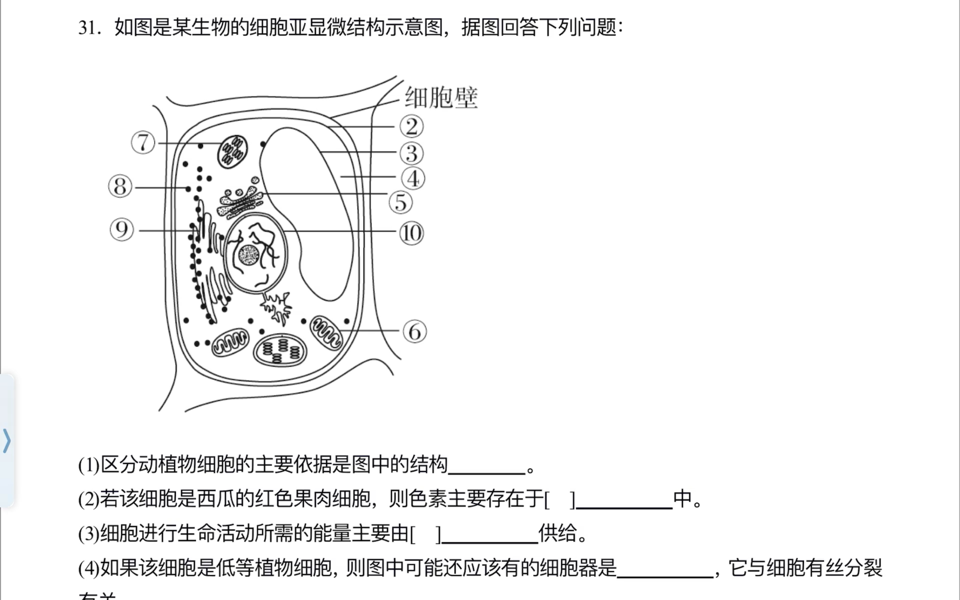 广饶综合高中生物(广饶综合高中生物老师名单) 第2张 广饶综合高中生物(广饶综合高中生物老师名单) 第2张