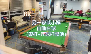 Download Video: （8K SDR）另一家谈小娱自助台球（架杆+开球杆整活）