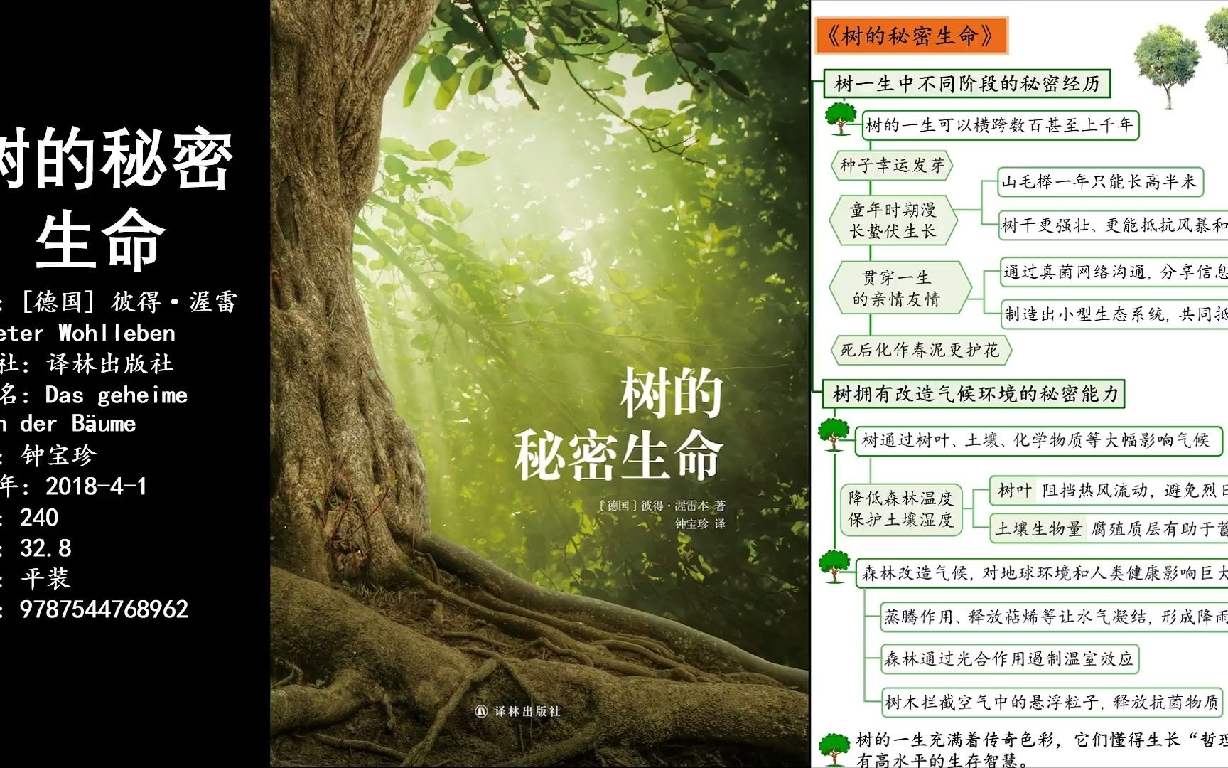 版载千秋攻略_手游版载千秋隐藏任务攻略_版载千秋刷体力