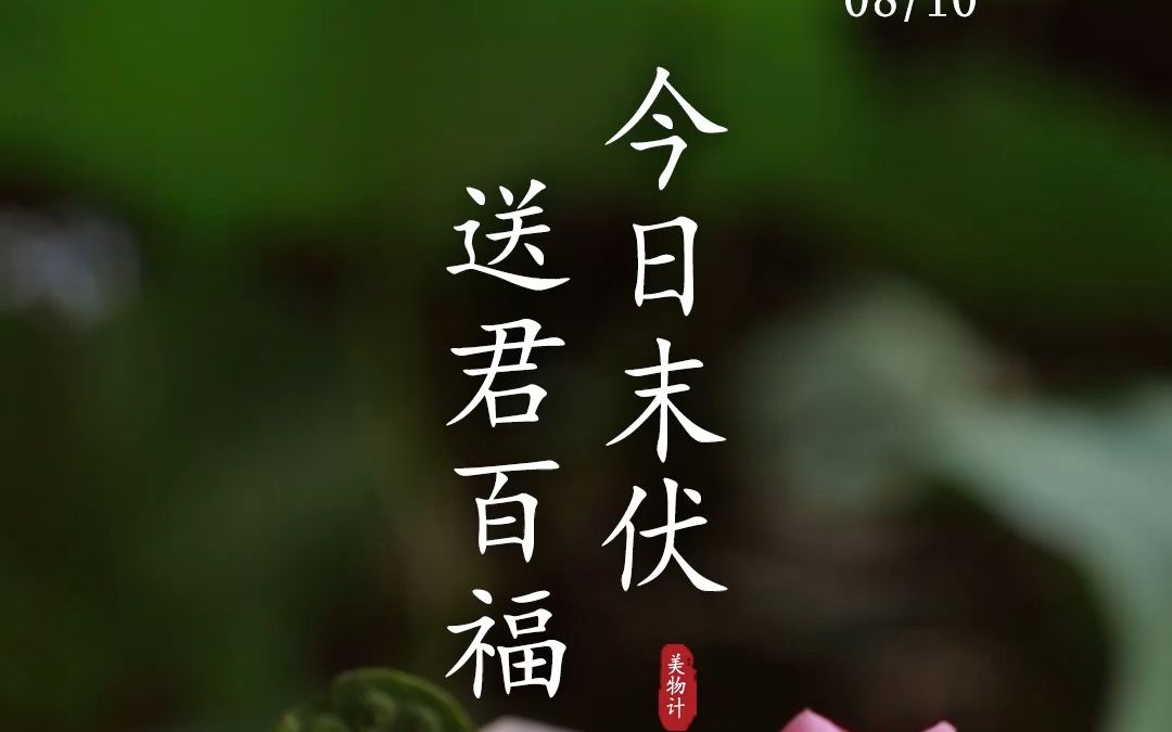 8月10日进入末伏,送君祝福,愿君百福.快乐是福,健康是福,知足是福,团聚是福,心安是福,静心惬意度末伏哔哩哔哩bilibili