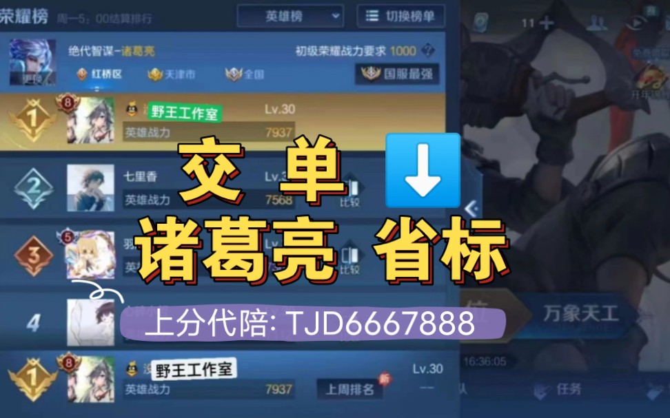 王者代练～交 单 8915诸葛亮 省标