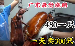 Download Video: 广东最贵烧鹅480一只，节假日一天卖14万元，央视《舌尖上的中国》《寻味顺德》双重推荐，2017全球街头美食6强