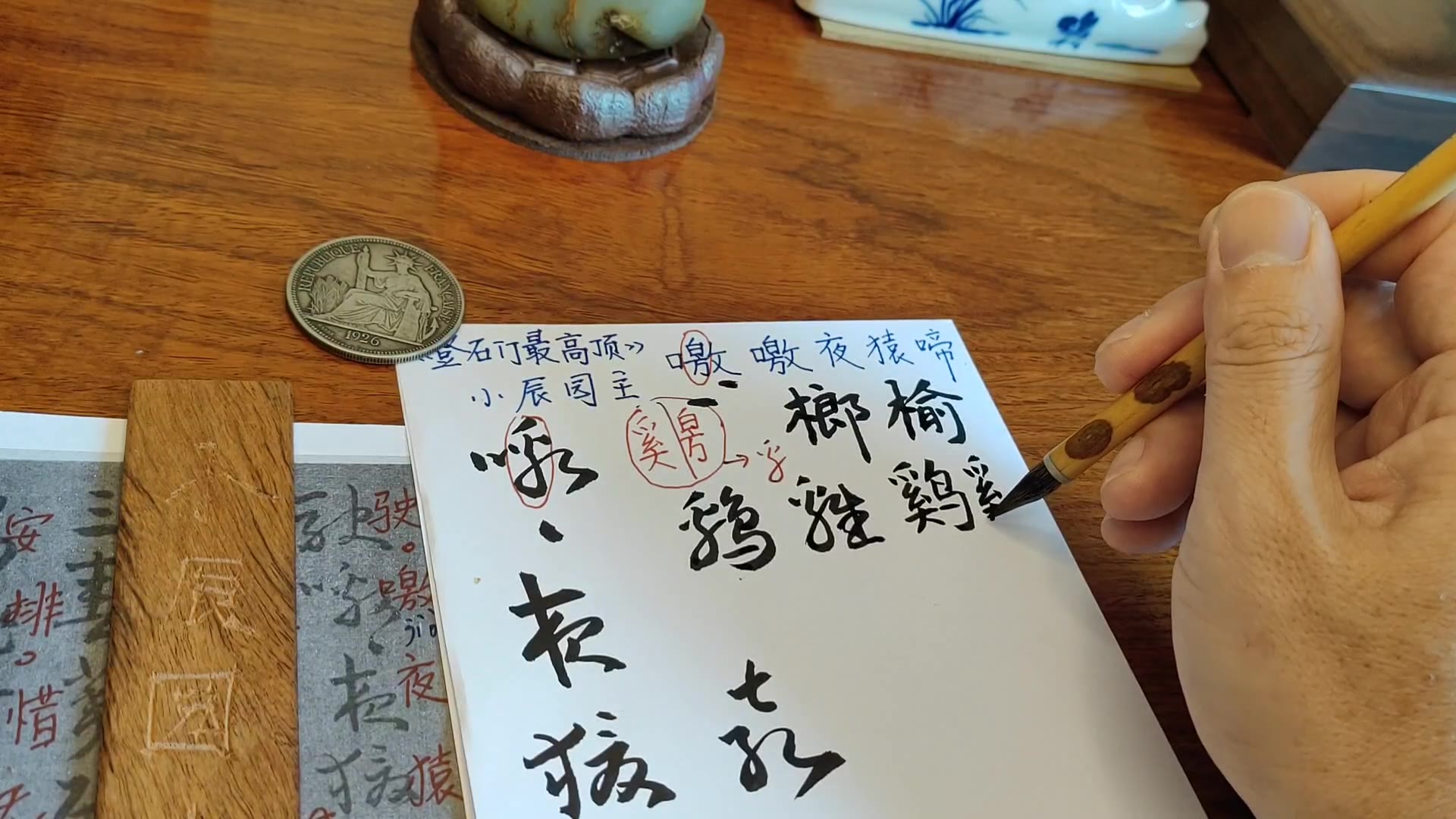 【小辰园主】最新视频来袭,快来看看吧!