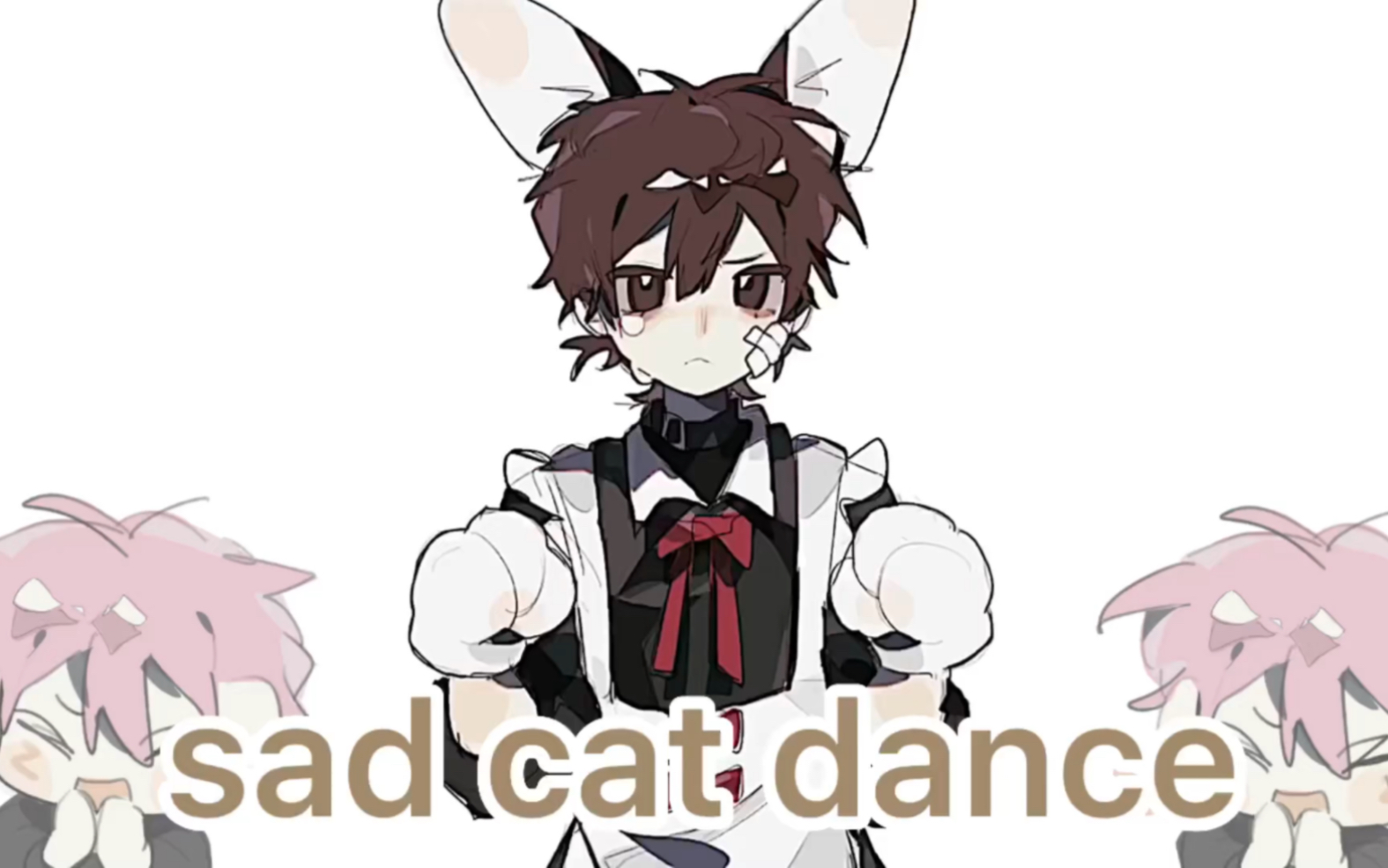 [图]【小潮院长/meme】小潮的sad cat dance