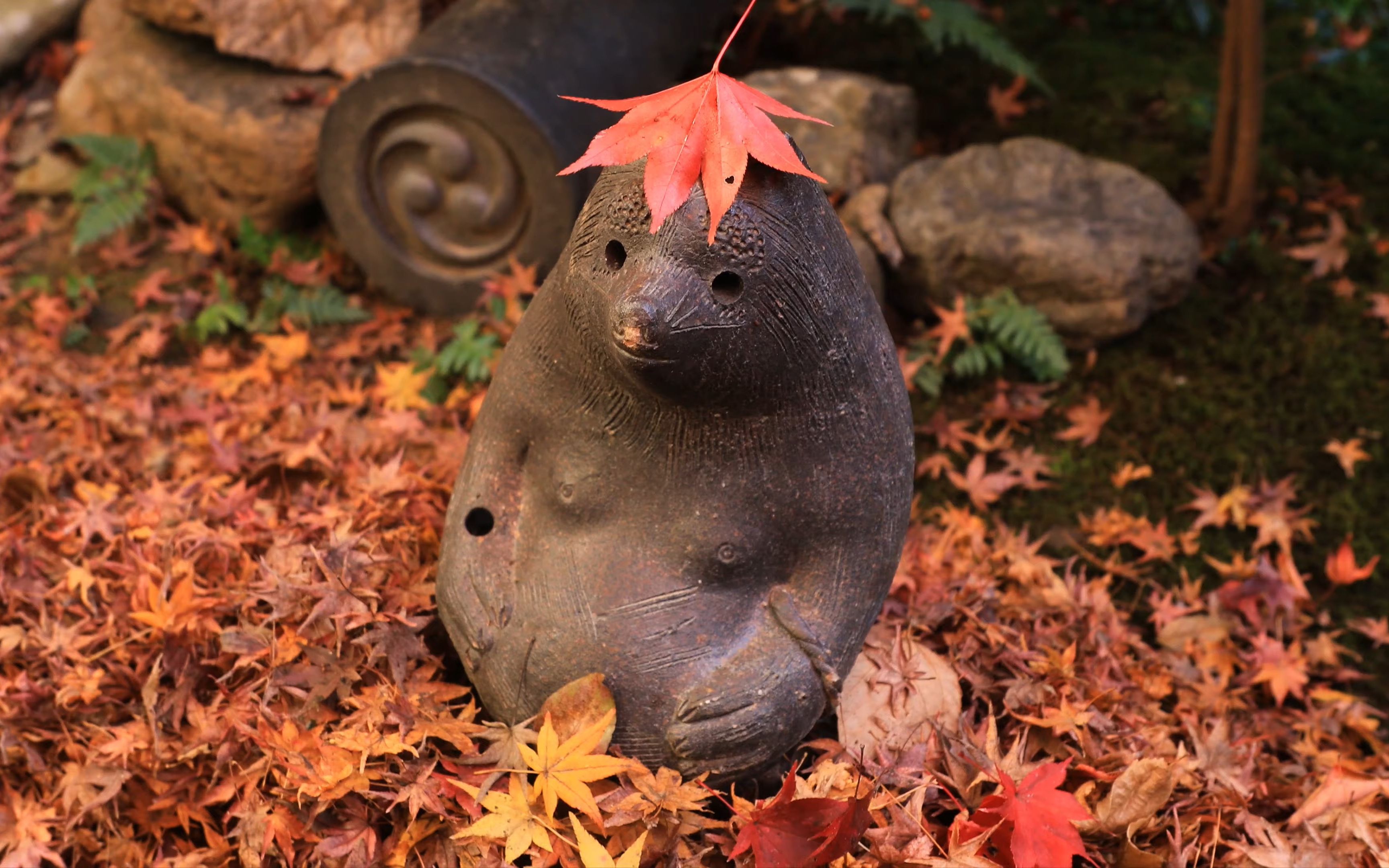 [图]紅葉の京都