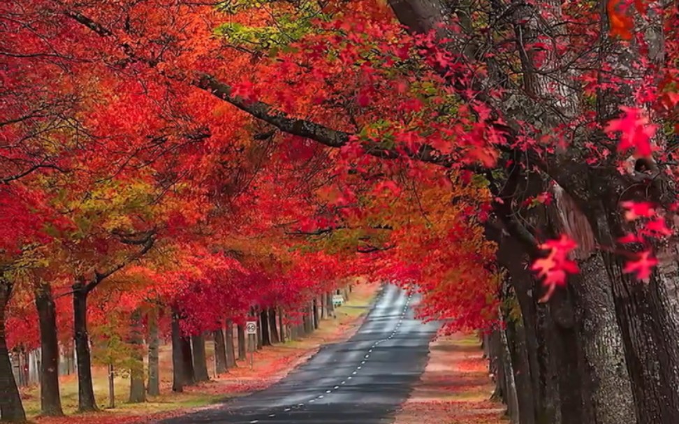 超清壁纸!(小景)