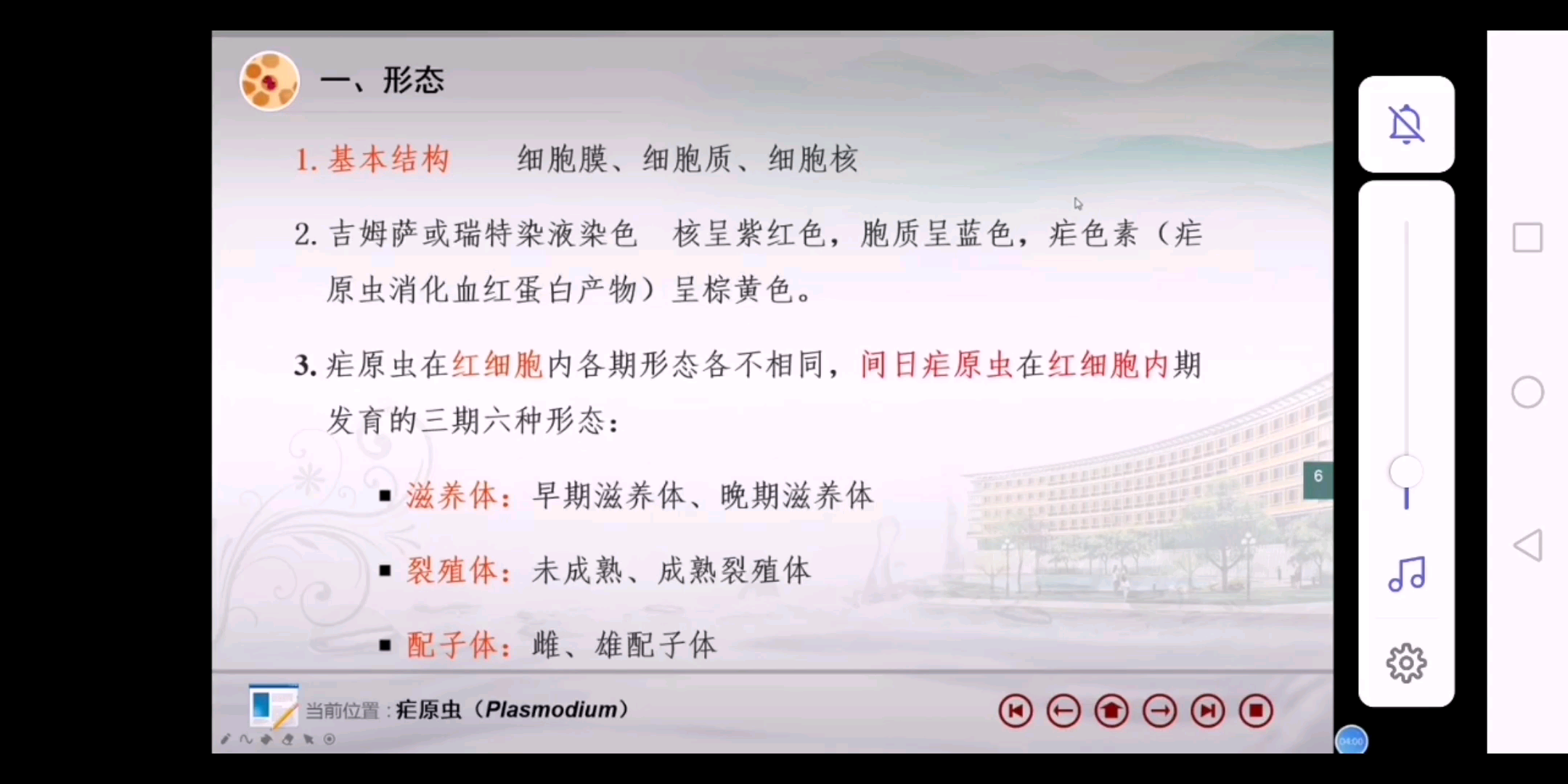 疟原虫知识学习哔哩哔哩bilibili