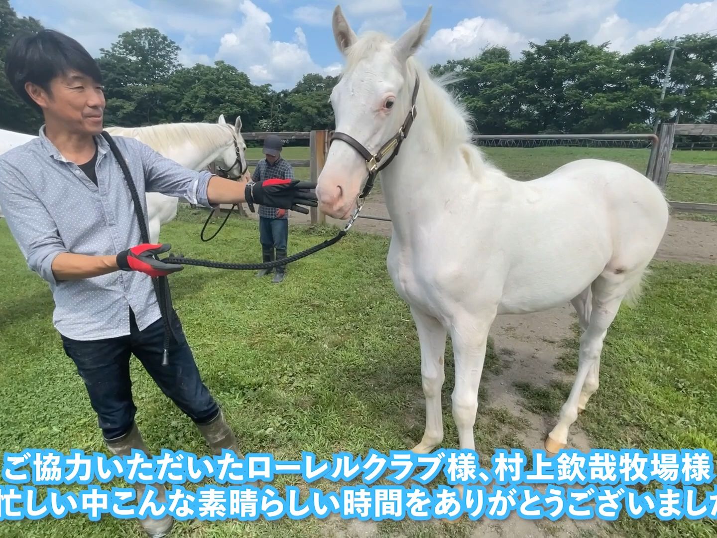 【黄金船产驹&飞机云产驹】白毛马里见茉莉2023(船妞)和アビーム2023