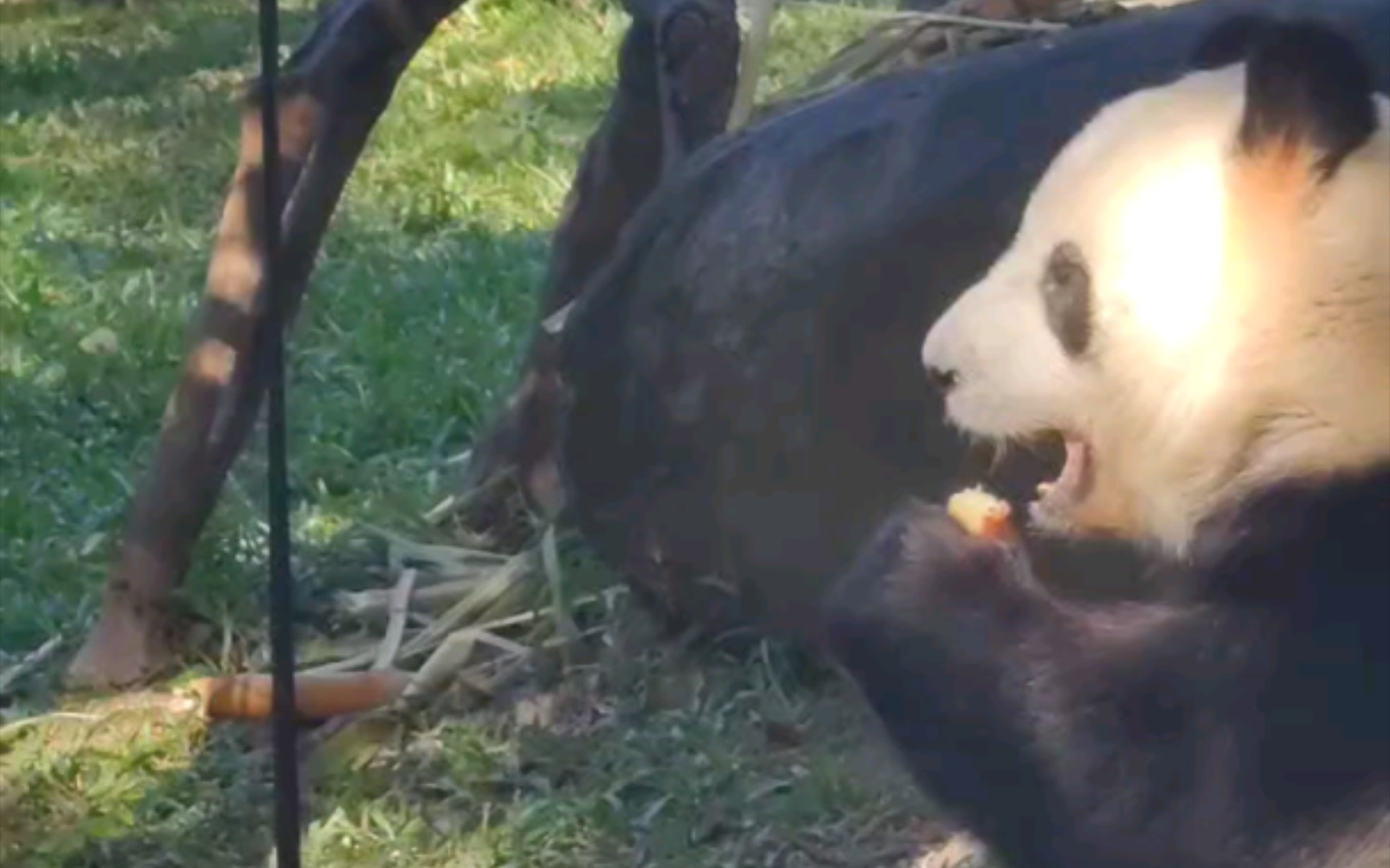 综述丨美国各界人士表示美国高关税“捡了芝麻丢了西瓜”