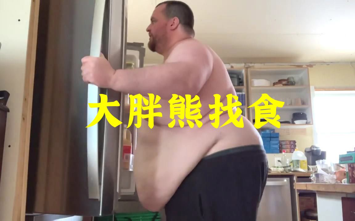 [图]大胖熊寻食记