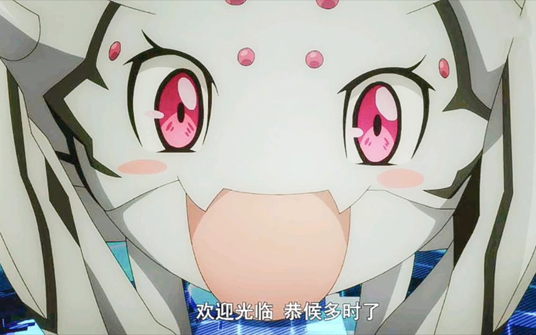蜘蛛子的艰难日常