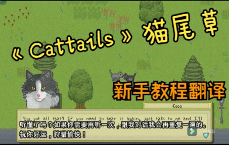 想入坑《Cattaills》又担心没有官中?萌新必看的猫尾草第一期——新手教程!攻略