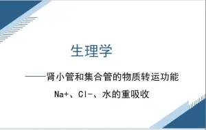 Download Video: 生理学——肾小管和集合管的物质转运功能——Na+、Cl-、水的重吸收