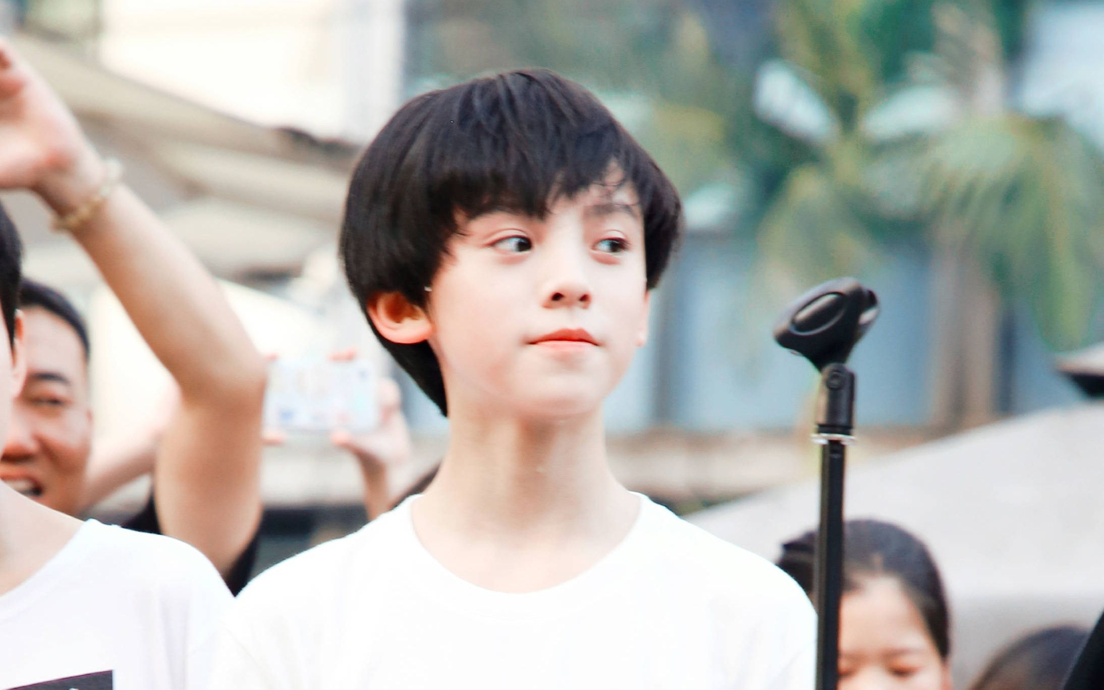 【tf家族 左航】《仰望星空》focus 20190817三团路演