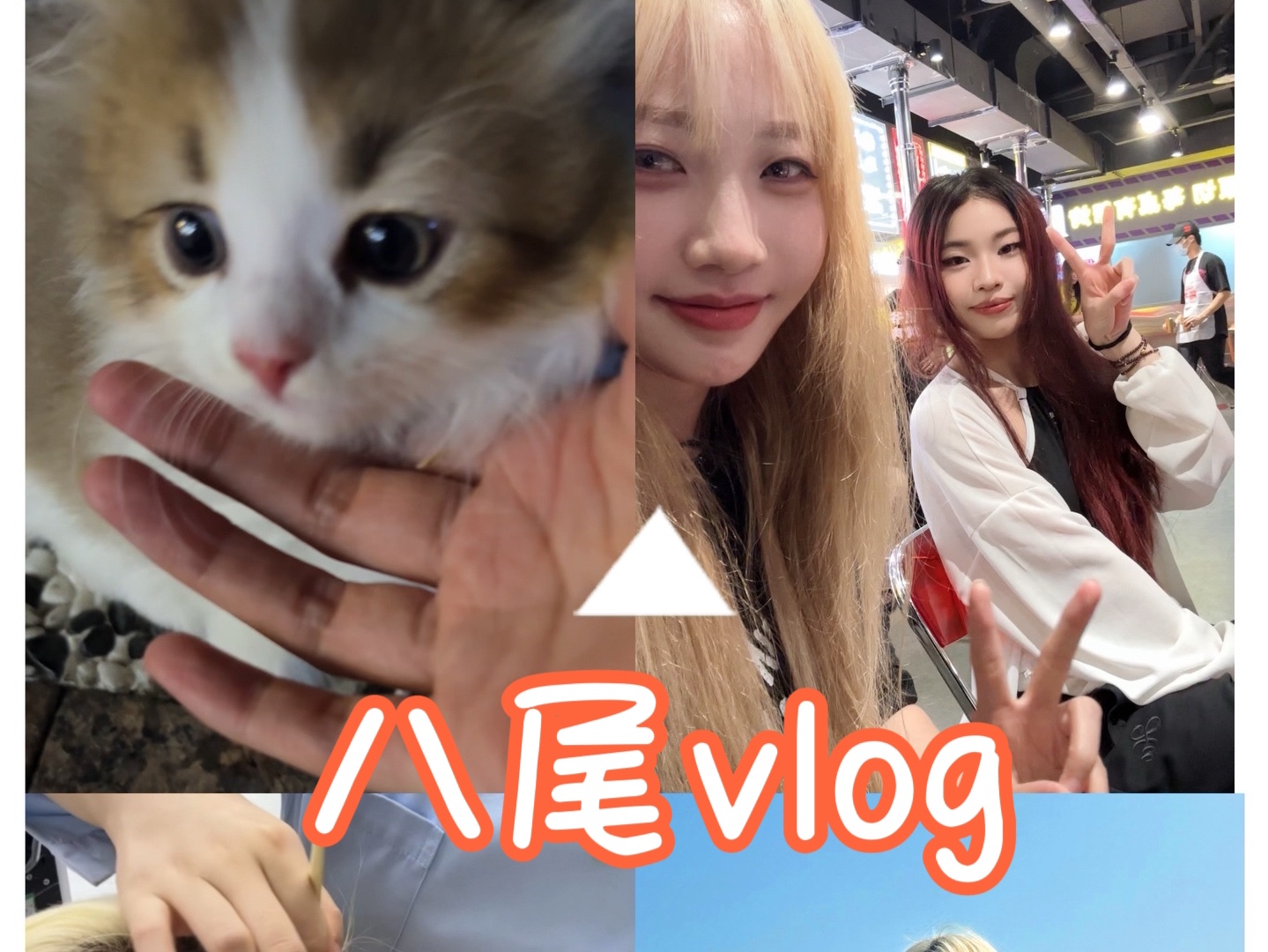 八尾vlog|吃吃吃+跳舞日常哔哩哔哩bilibili