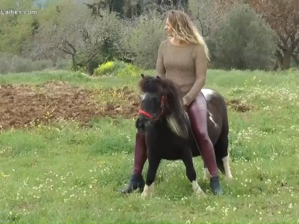 美女骑小马图片