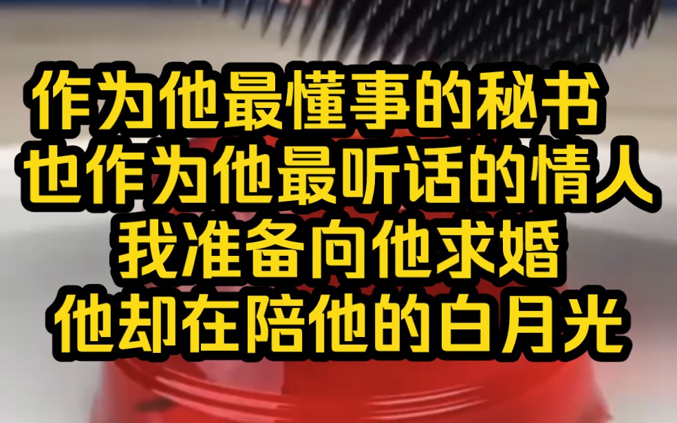 《青云月明》作为他最懂事的秘书,也作为他最听话的情人,我准备向他求婚,他却在陪他的白月光.哔哩哔哩bilibili