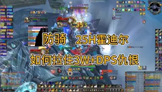 Download Video: 防骑如何拉住3W+DPS霍迪尔仇恨