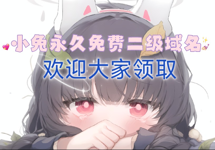 小兔互联永久免费二级域名领取与使用教程