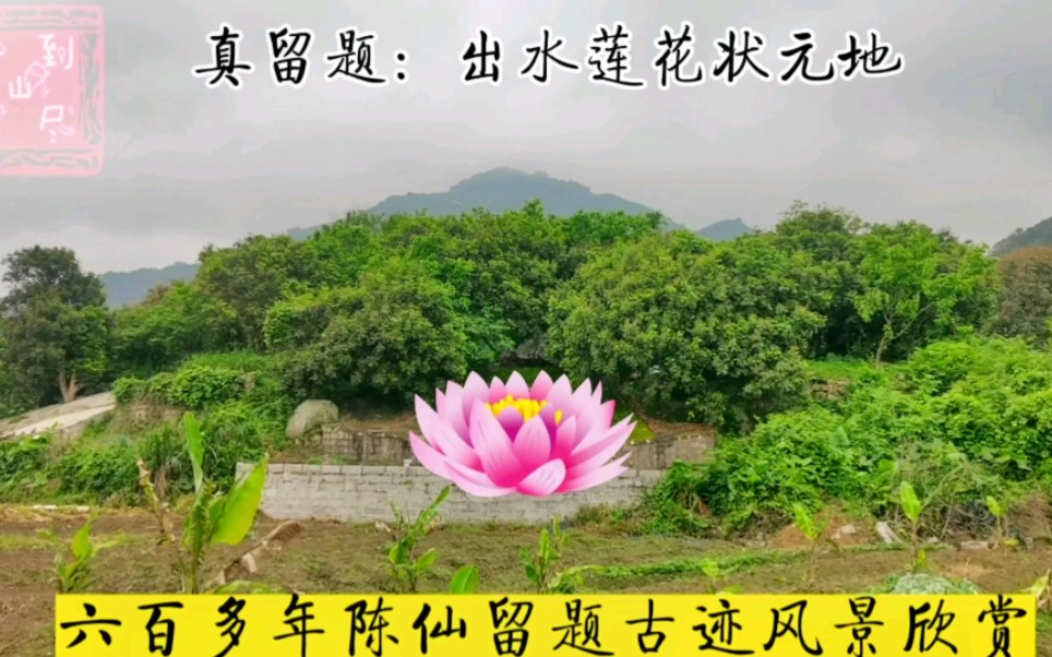 明朝真留题,出水莲花状元地,古图风景欣赏哔哩哔哩bilibili