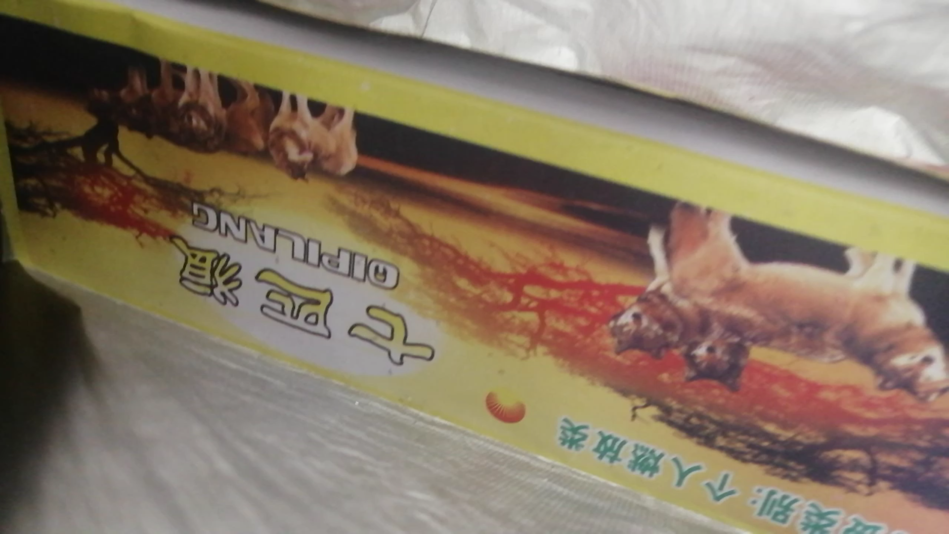 过新年 放炮!买到了喜欢的七匹狼摔炮