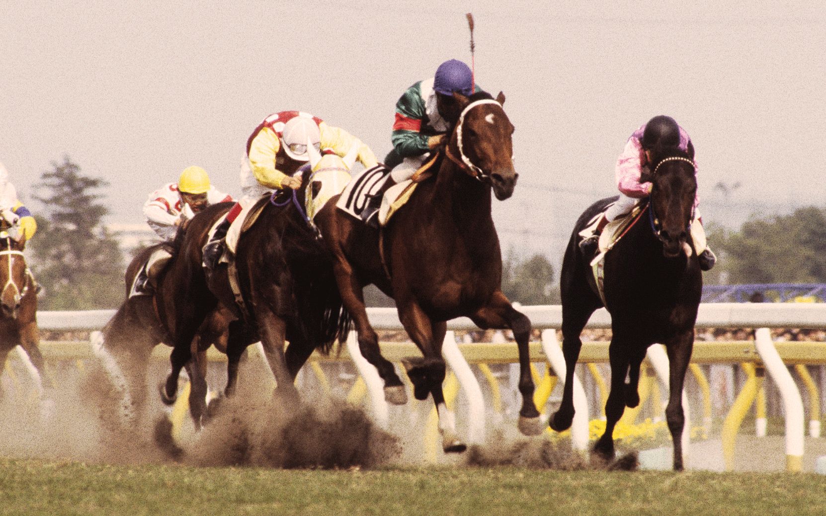 【赛马】1984年日本达比(gi)【鲁铎象征】_哔哩哔哩_bilibili